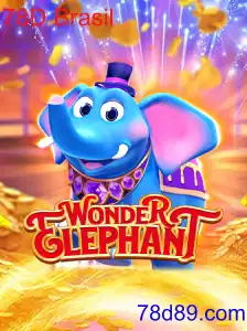 WonderElephant